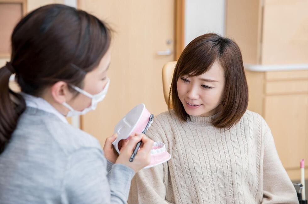 歯の模型と歯ブラシを使った歯磨き指導を受けている様子