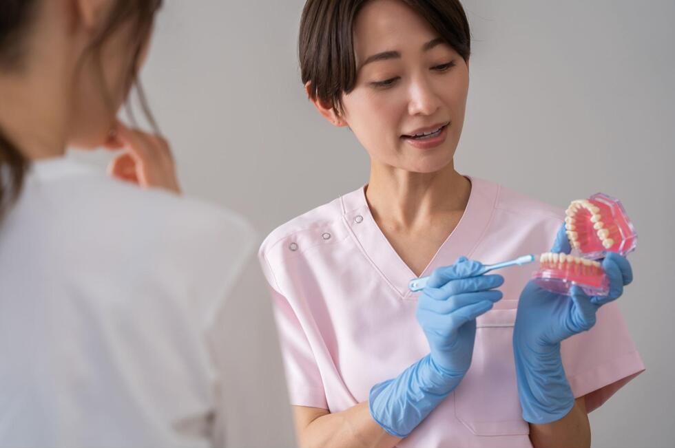 歯の模型を使用した歯磨き指導の様子