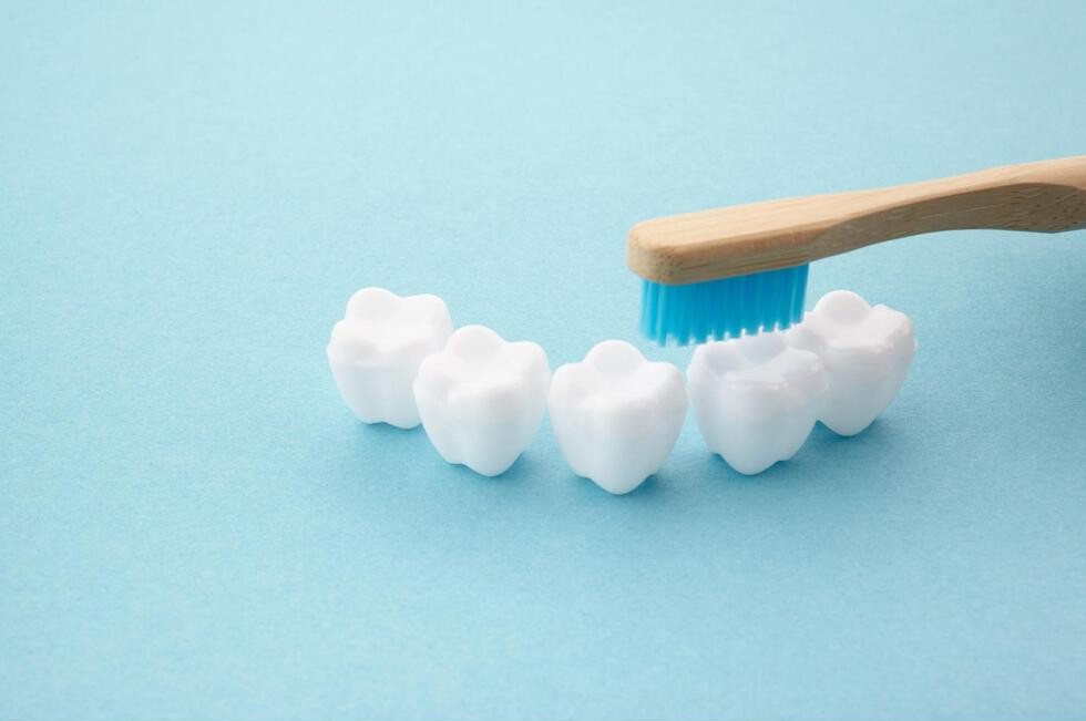 歯の模型と歯ブラシ