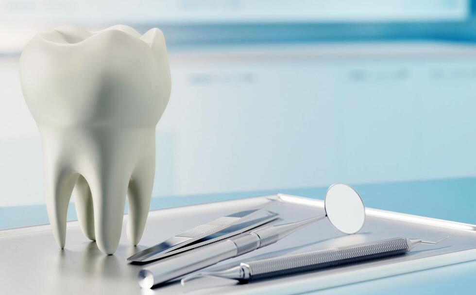 歯の模型とデンタルミラー・探針・歯科用ピンセット